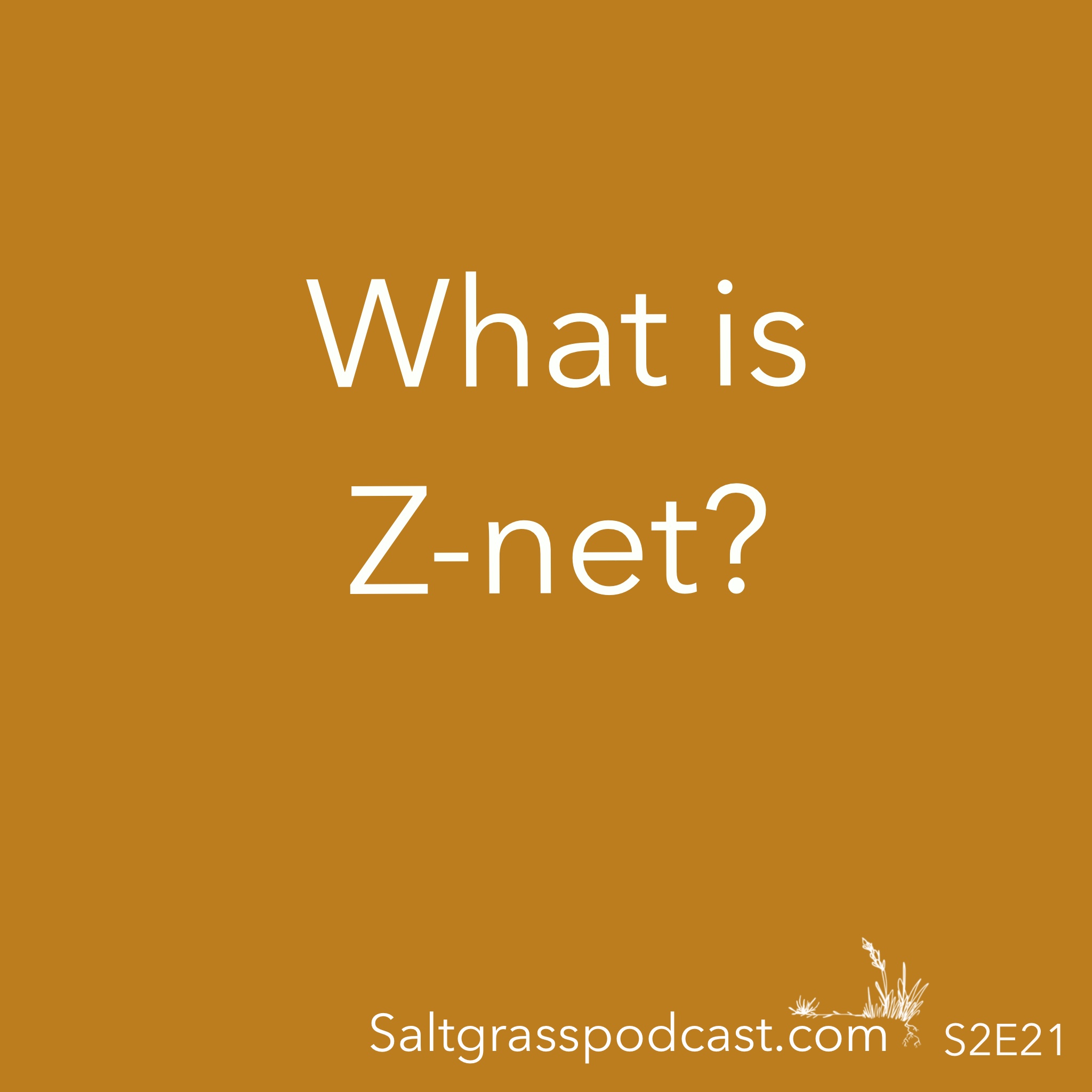 S2E21 Z-NET – Saltgrass Podcast